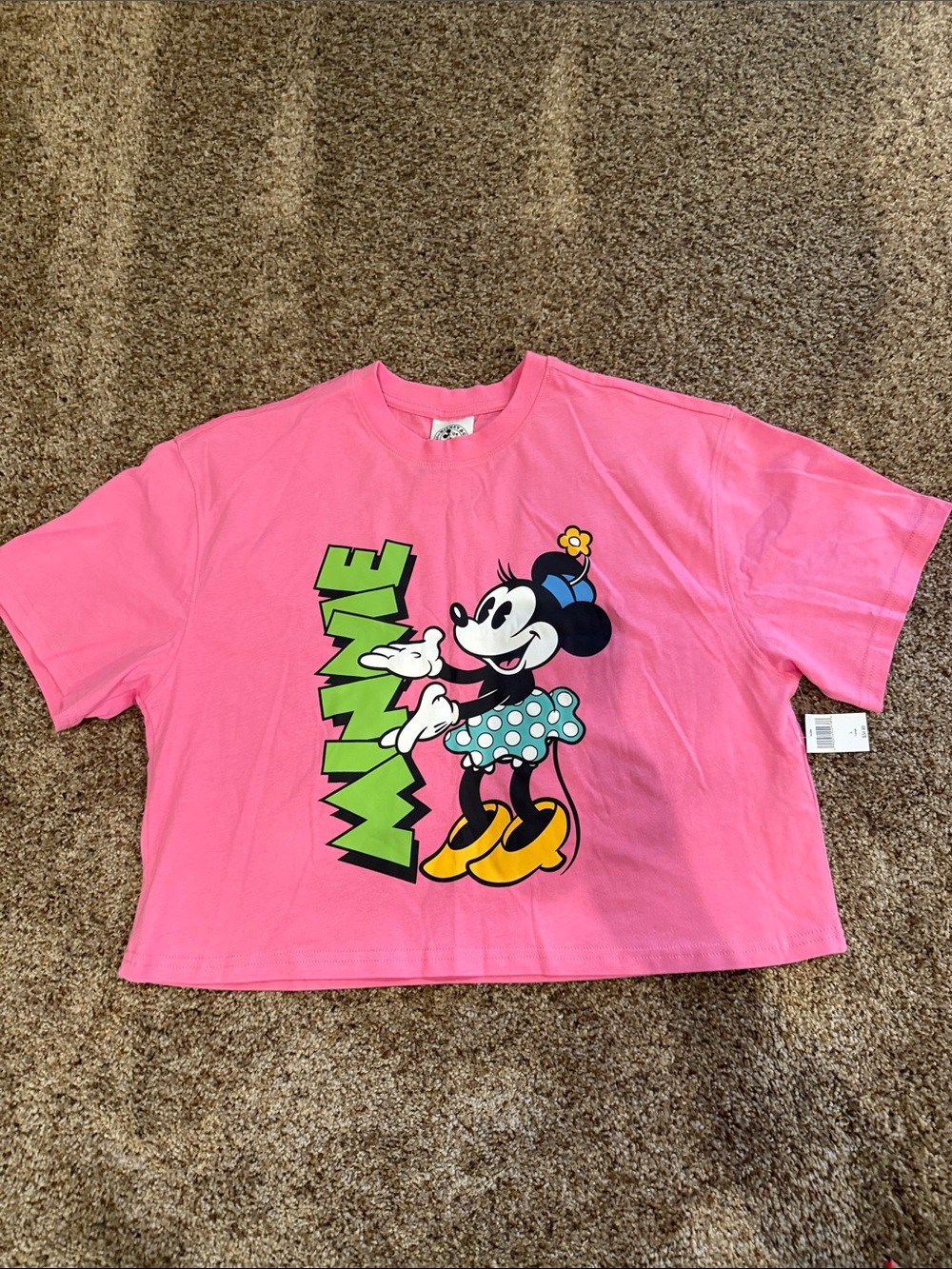 Disney Pink Minnie Mouse Crop Top